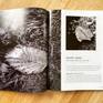 "Monthly Photography" (Korea); 10-page Feature