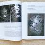 "Monthly Photography" (Korea); Feature