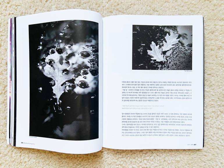 Original Realism Language Photography by Marcia Schulman Martin