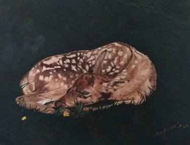 Original Animal Paintings by Andrea Sabatt
