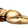 view additional image 1