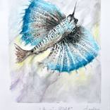 Amazing flight by Dulce Maria Rivas Godoy