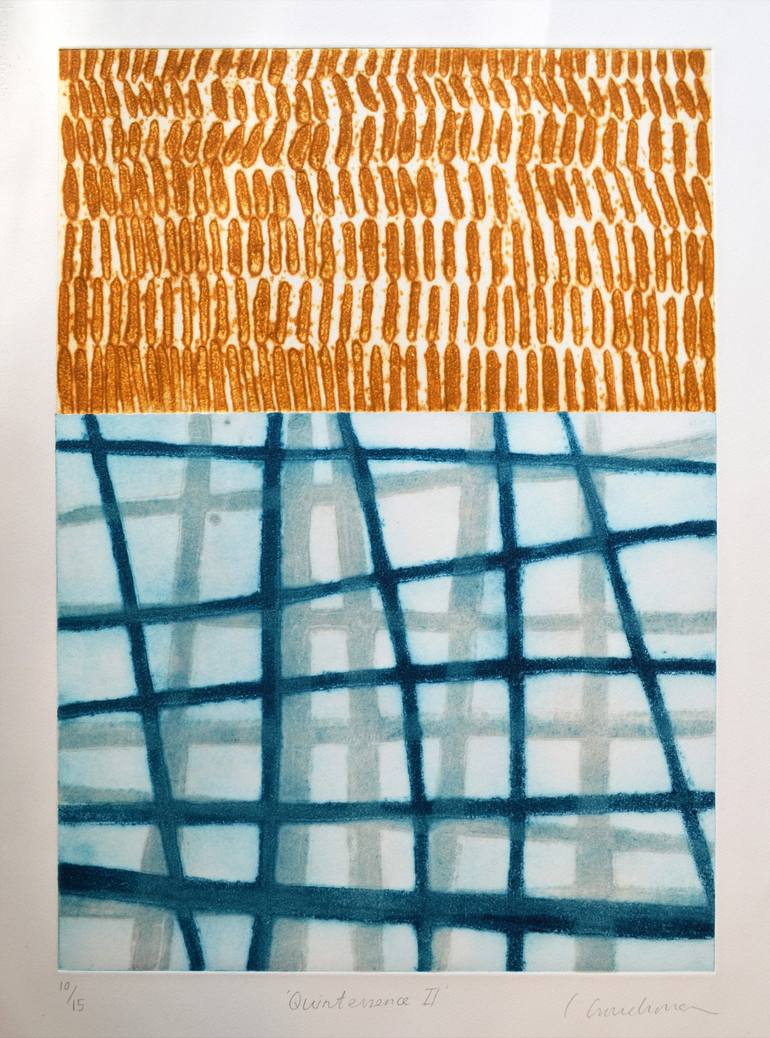 Original Nature Abstract Printmaking by Clare Crouchman