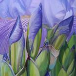 Iris I by Violeta Vollmer