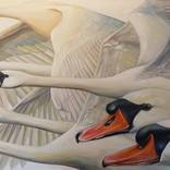 White Swans in Flight – Wings in Motion by Violeta Vollmer
