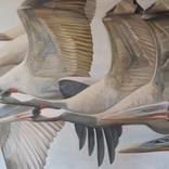 The Cranes-Wings In Motion by Violeta Vollmer