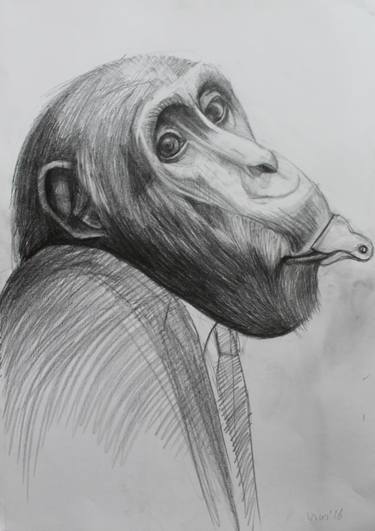 anthropoid ape 10 thumb