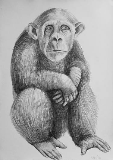 Original Figurative Animal Drawings by Violeta Vollmer