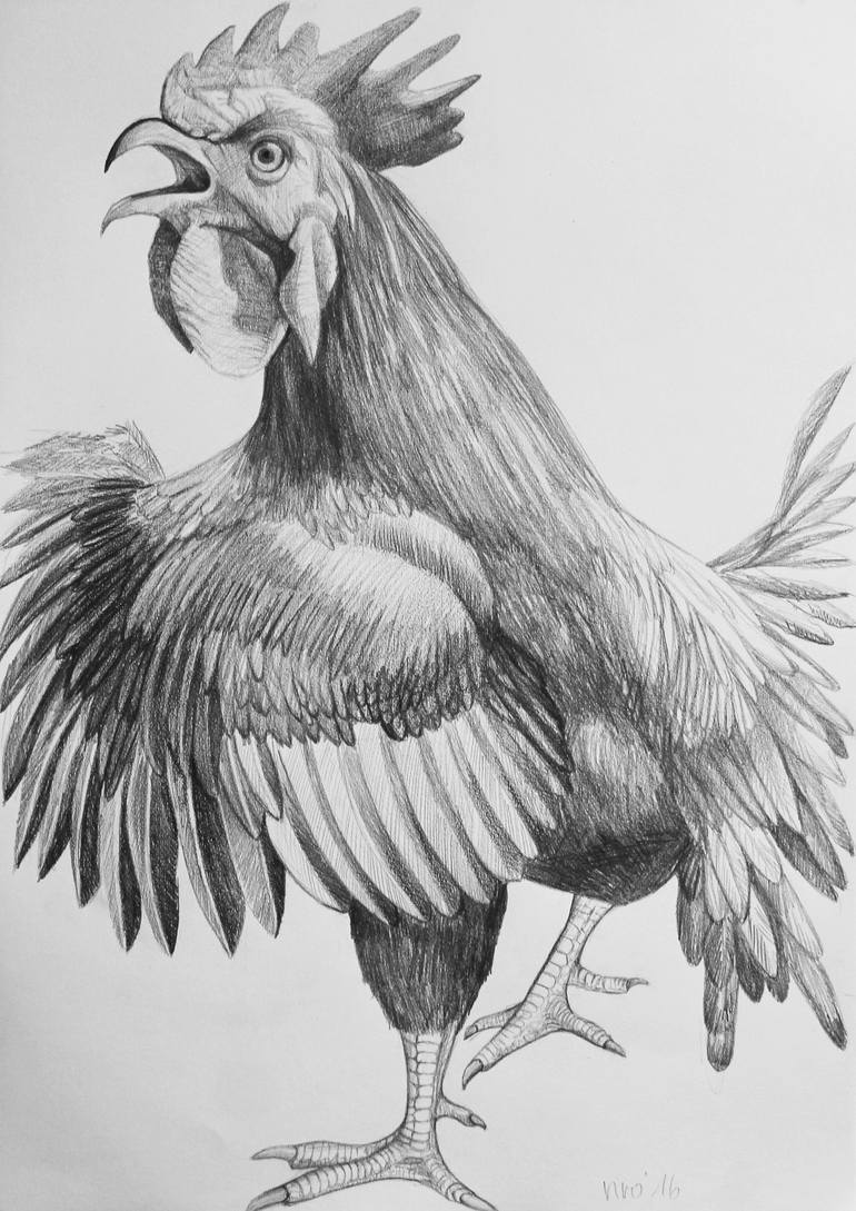 2017 - the year of the rooster Drawing by Violeta Vollmer | Saatchi Art