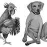 2017 was the year of the rooster, 2018 will be the year of the dog according to the chinese calendar...
