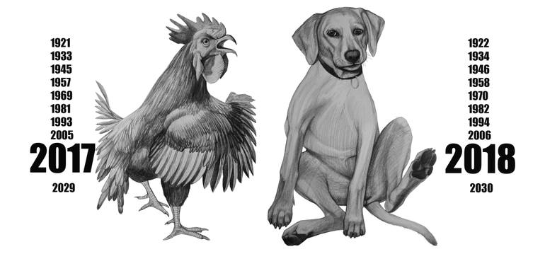 Original Figurative Animal Drawing by Violeta Vollmer