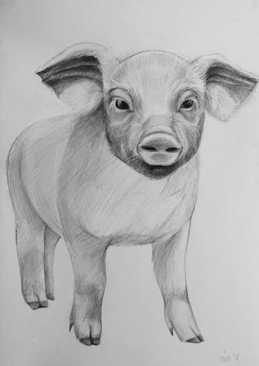 Original Figurative Animal Drawings by Violeta Vollmer