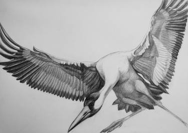 Original Figurative Animal Drawings by Violeta Vollmer