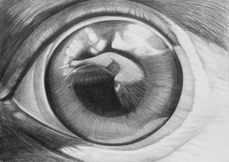 Print of Figurative Animal Drawings by Violeta Vollmer