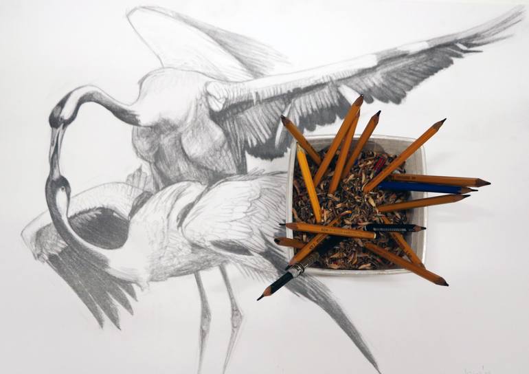 Original Documentary Animal Drawing by Violeta Vollmer