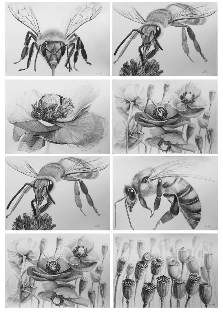 Original Figurative Animal Drawing by Violeta Vollmer