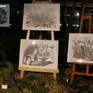 34 drawings, pencil on paper from my exhibition “Through nature with a pencil – Cacteae and other succulents“ featured at the Botanical Garden in Dresden, Germany