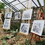 34 drawings, pencil on paper from my exhibition “Through nature with a pencil – Cacteae and other succulents“ featured at the Botanical Garden in Dresden, Germany