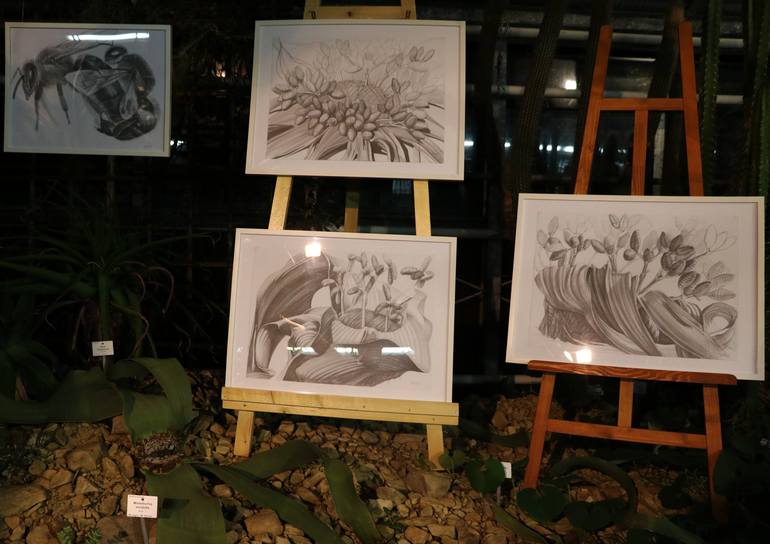 Original Documentary Botanic Drawing by Violeta Vollmer