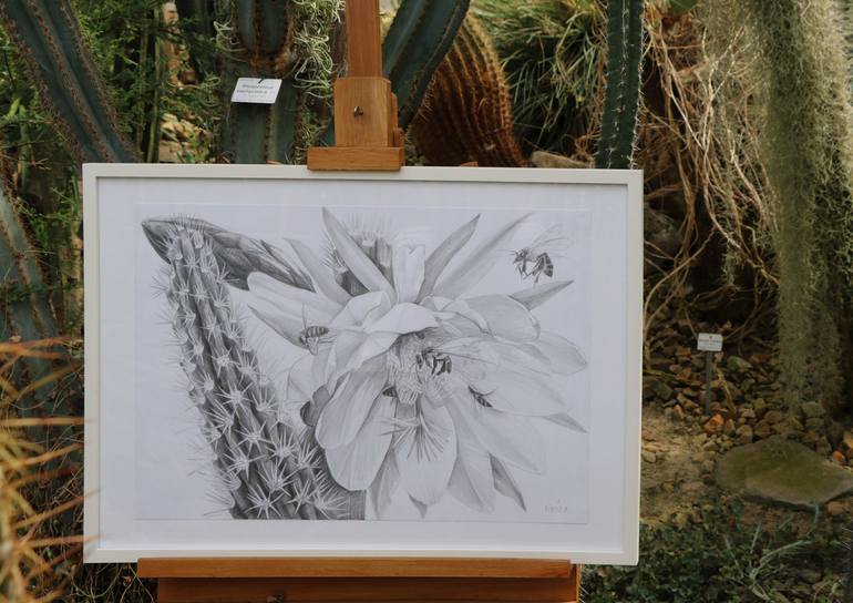 Original Documentary Botanic Drawing by Violeta Vollmer