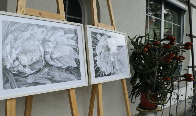 Original Documentary Nature Drawing by Violeta Vollmer