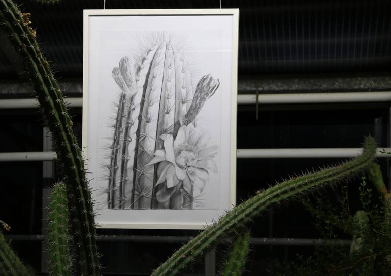 Original Documentary Nature Drawing by Violeta Vollmer