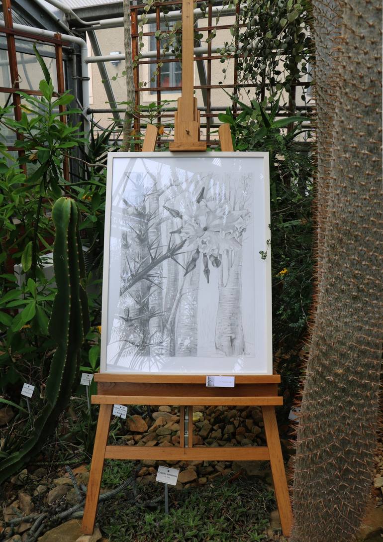 Original Nature Drawing by Violeta Vollmer