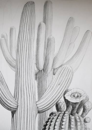 Print of Documentary Nature Drawings by Violeta Vollmer