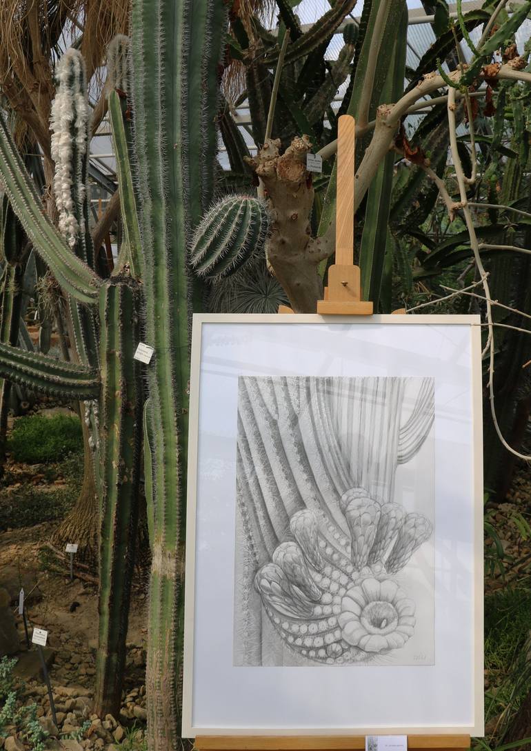 Original Nature Drawing by Violeta Vollmer