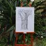 34 drawings, pencil on paper from my exhibition “Through nature with a pencil – Cacteae and other succulents“ featured at  the Botanical Garden in Dresden, Germany