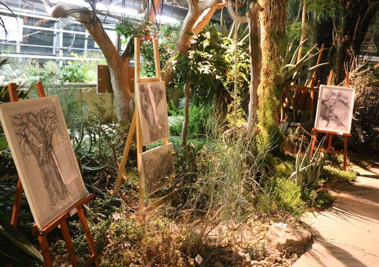 Original Documentary Nature Drawing by Violeta Vollmer