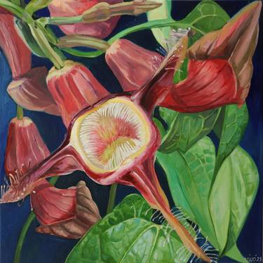 Original Documentary Botanic Paintings by Violeta Vollmer