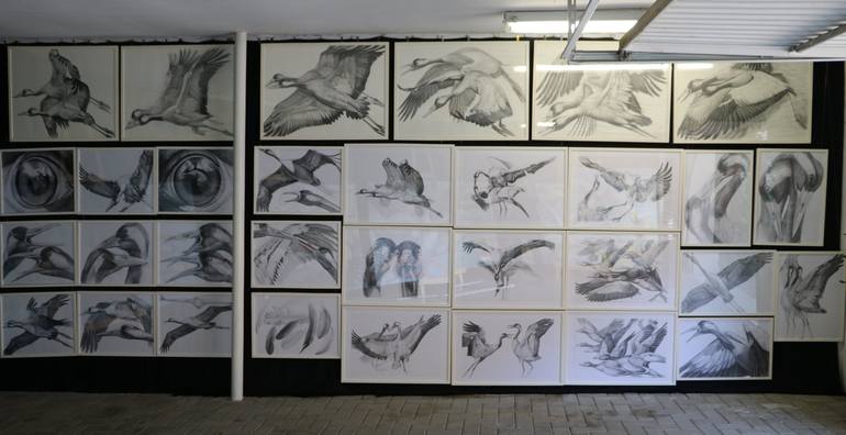 Original Documentary Nature Drawing by Violeta Vollmer