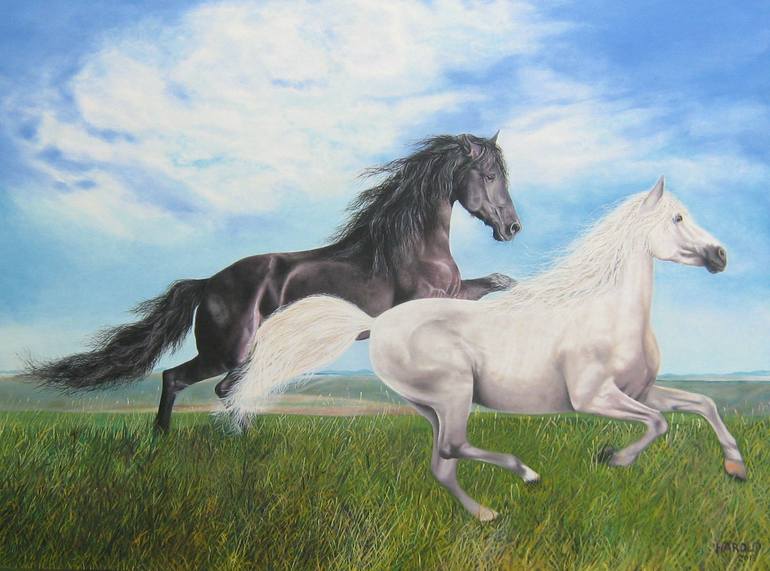 caballos frisones blancos
