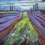 Clouds, lavender and cypresses. by Laima Goda