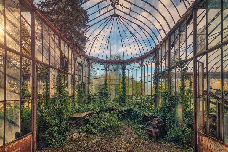 Greenhouse Limited Edition Of 10 Photography By Matthias Haker Saatchi Art