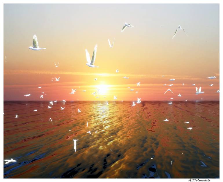 Original Other Beach Photography by Abderrahim El Asraoui