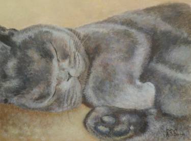 Original Impressionism Cats Paintings by Anna Barnes-Haslam