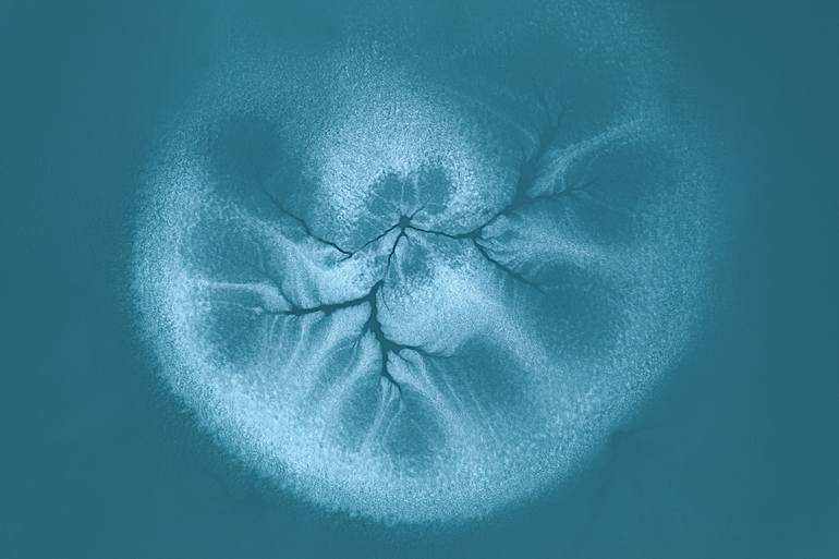 Original Abstract Nature Photography by B.M. Noskowski