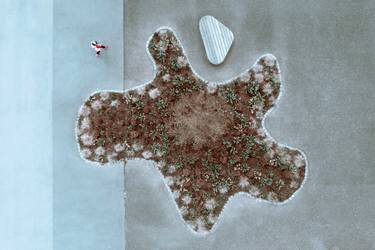 Original Abstract Botanic Photography by B.M. Noskowski