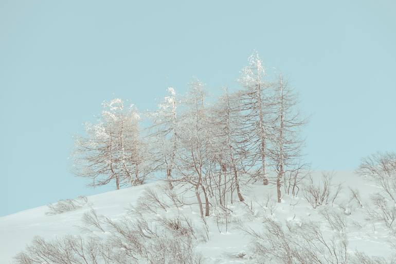 Original  Photography by b.m. noskowski