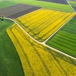Spring landscape from above by B.M. Noskowski