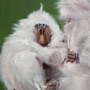 Collection New This Week 3-24-2014