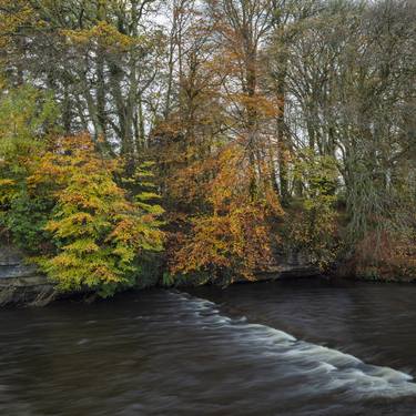Autumn River - Limited Edition of 5 thumb