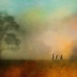 The Pilgrimage by Stephanie Dalton