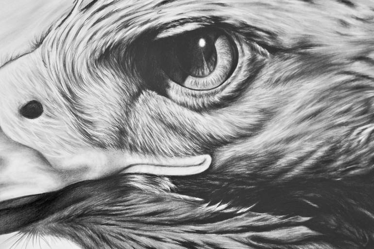 Original Realism Animal Drawing by Omar Shelleh