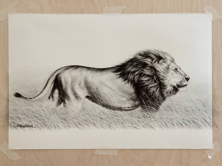 Original Realism Animal Drawing by Omar Shelleh