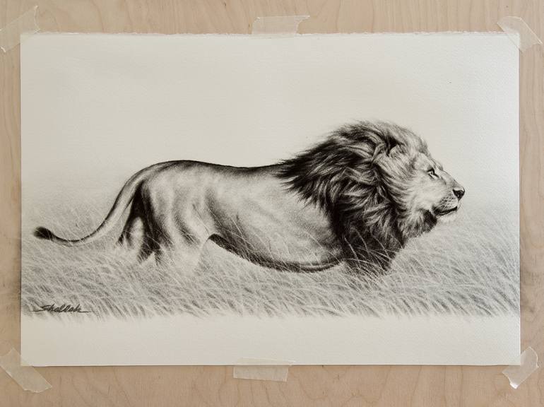 Original Animal Drawing by Omar Shelleh