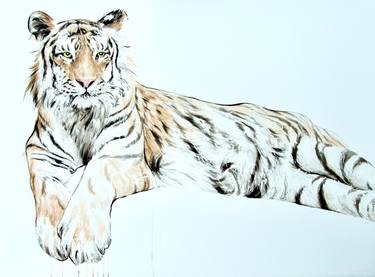 Original Animal Paintings by Omar Shelleh