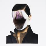 Collection Prosopagnosia